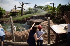 31 de mayo de 2019: La senadora Lindsey Williams visita el zoológico y acuario de Pittsburgh.