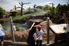 May 31, 2019: Senator Lindsey Williams visits the Pittsburgh Zoo and Aquarium.