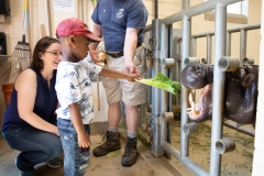 May 31, 2019: Senator Lindsey Williams visits the Pittsburgh Zoo and Aquarium.