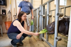 May 31, 2019: Senator Lindsey Williams visits the Pittsburgh Zoo and Aquarium.