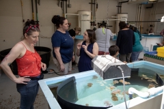 May 31, 2019: Senator Lindsey Williams visits the Pittsburgh Zoo and Aquarium.