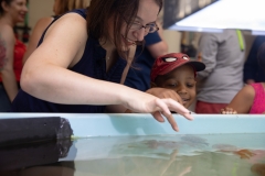 May 31, 2019: Senator Lindsey Williams visits the Pittsburgh Zoo and Aquarium.