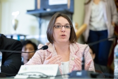 February 7, 2019: Sen. Williams participates in a joint state Senate-House Democratic Policy Committee hearing on ways to improve air quality, community notification procedures and emergency response. The hearing was prompted following a fire at the  Clairton Coke Works that resulted in emissions of high levels of sulfur dioxide and damage to the facility’s gas processing system.