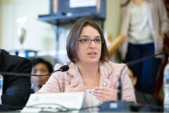 February 7, 2019: Sen. Williams participates in a joint state Senate-House Democratic Policy Committee hearing on ways to improve air quality, community notification procedures and emergency response. The hearing was prompted following a fire at the  Clairton Coke Works that resulted in emissions of high levels of sulfur dioxide and damage to the facility’s gas processing system.