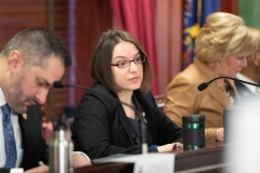 March 26, 2019: Senator Lindsey Williams participates in a joint Senate-House hearing in Harrisburg on legislation aimed at making college more affordable.