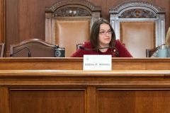 Senator Lindsey M. Williams attends a Senate Democratic Policy Committee hearing on Corporate Tax Policy.