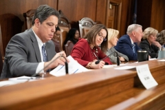 Senator Lindsey M. Williams attends a Senate Democratic Policy Committee hearing on Corporate Tax Policy.