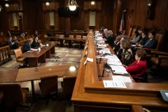 Senator Lindsey M. Williams attends a Senate Democratic Policy Committee hearing on Corporate Tax Policy.