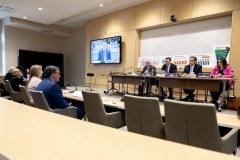 Senate Democratic Policy Committee Public Transportation Hearing