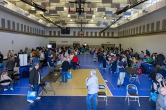 Senior Fair