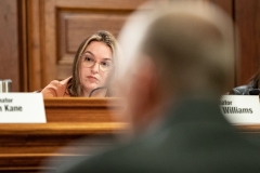 Transportation Committee Hearing