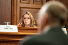 Transportation Committee Hearing