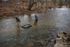 March 6, 2020: Senator Lindsey Williams joins the PA Fish and Boat Commission to stock Deer Creek with rainbow and golden trout.