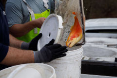 Trout Stocking at Deer Lakes Park with Cub Scout Pack 186