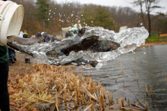 Trout Stocking at Deer Lakes Park with Cub Scout Pack 186