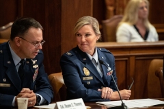 Veterans Affairs and Emergency Preparedness
