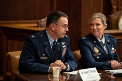 Veterans Affairs and Emergency Preparedness