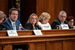 Veterans Affairs and Emergency Preparedness