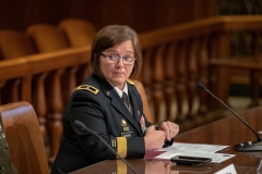 Veterans Affairs and Emergency Preparedness