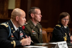 Veterans Affairs and Emergency Preparedness