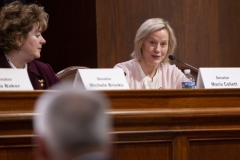 March 26, 2019: The Senate Veterans Affairs and Emergency Preparedness Committee met today to unanimously recommended Maj. Gen. Anthony Carrelli for re-appointment as Pennsylvania Adjutant General.  The committee also unanimously recommended three colonels for promotion to brigadier general and three brigadier generals to major general.  All require a Senate vote for confirmation.