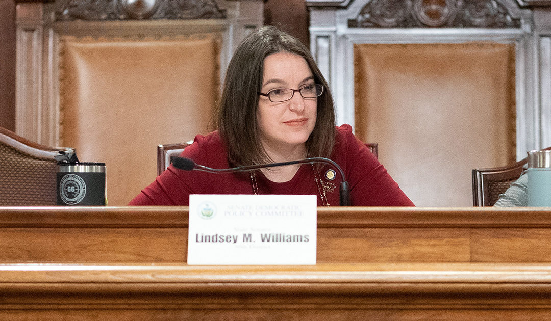 Senadora Lindsey Williams