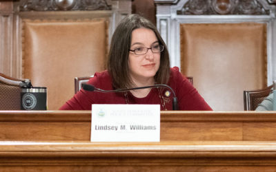 Senator Lindsey Williams Supports Audit of DCED Waiver Program; Denounces Senate Republican Political Theater