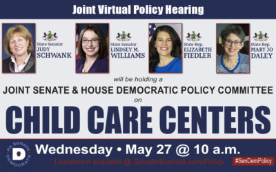 Senator Lindsey Williams to Co-Host Policy Hearing on Child Care Issues Facing Providers and Working Families During COVID-19 Crisis
