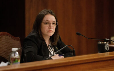 Senator Lindsey M. Williams Questions Decision to Shift Responsibility for Public School Audits