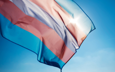 En el Día Internacional de la Visibilidad Transexual, los senadores estatales destacan el paquete legislativo para la reforma del cambio de nombre