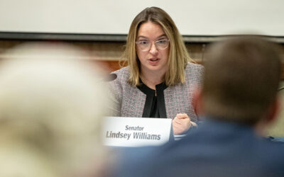 Sen. Lindsey M. Williams Criticizes Senate Republicans for Voting Against Workers on International Workers Day