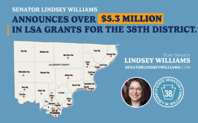 Senator Lindsey M. Williams Announces $5.7 Million in Local Share Grant Funding and $8.9 Million in Public School Facility Improvement Grants