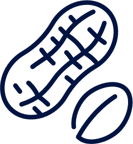 peanut icon