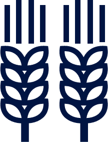 grain icon