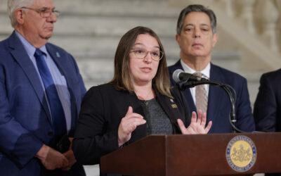 Senator Lindsey M. Williams to Introduce Election Security Legislation