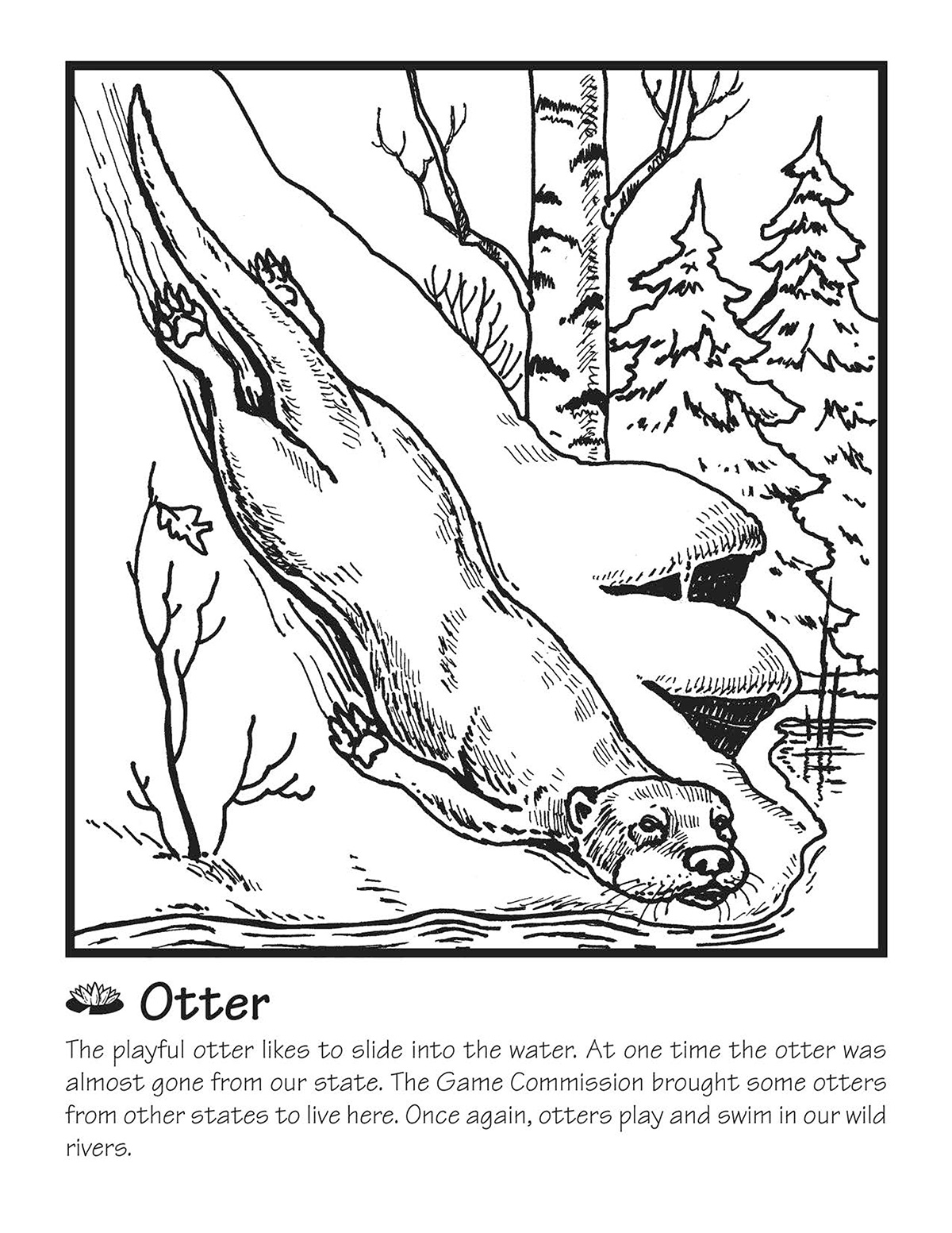 Otter