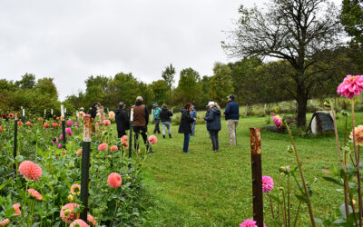 Good Dog Farm, Sen. Lindsey Williams, Allegheny County Conservation District Celebrate Completed Conservation Project